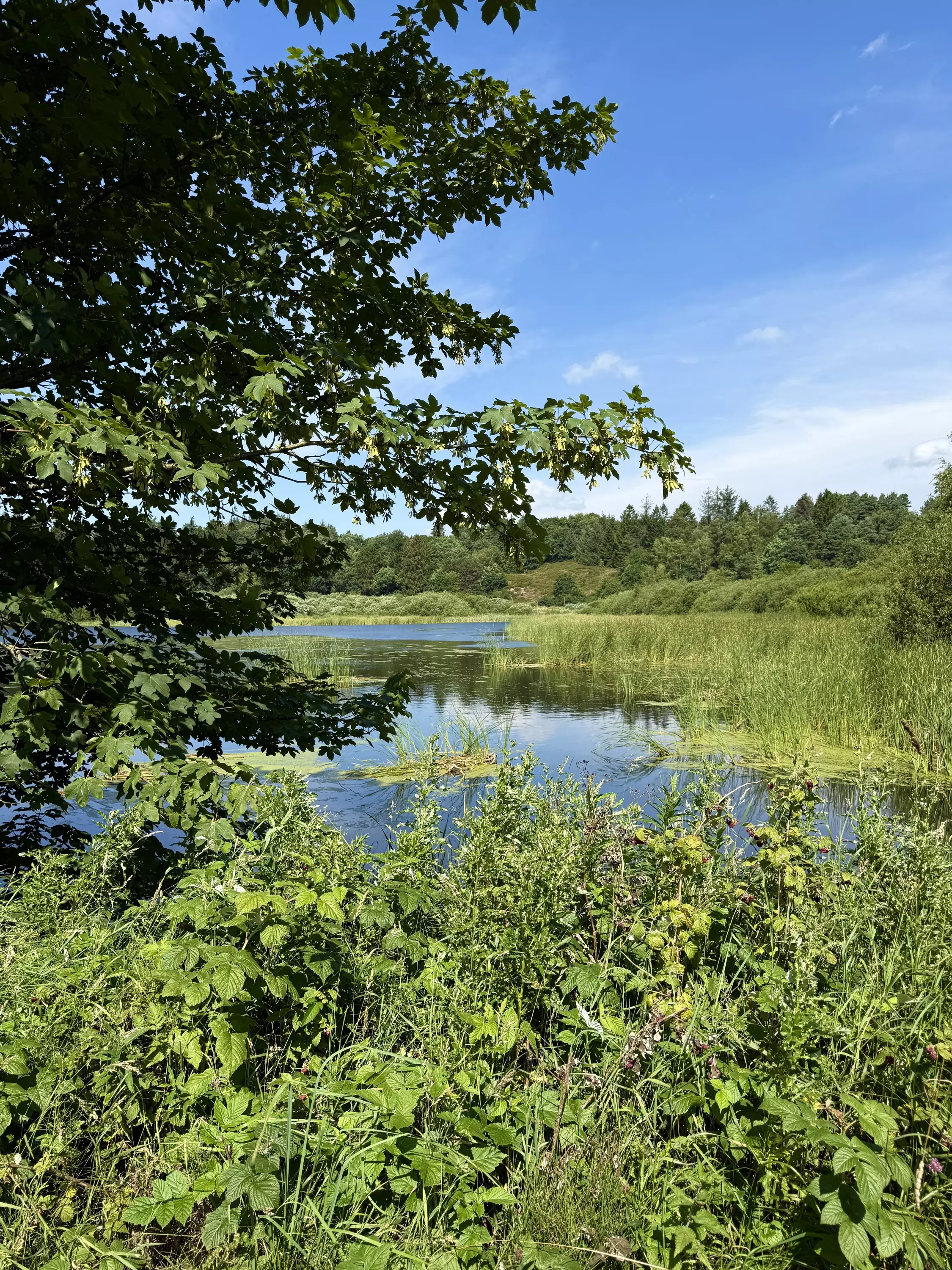 Svendborg & Nyborg, billede 1