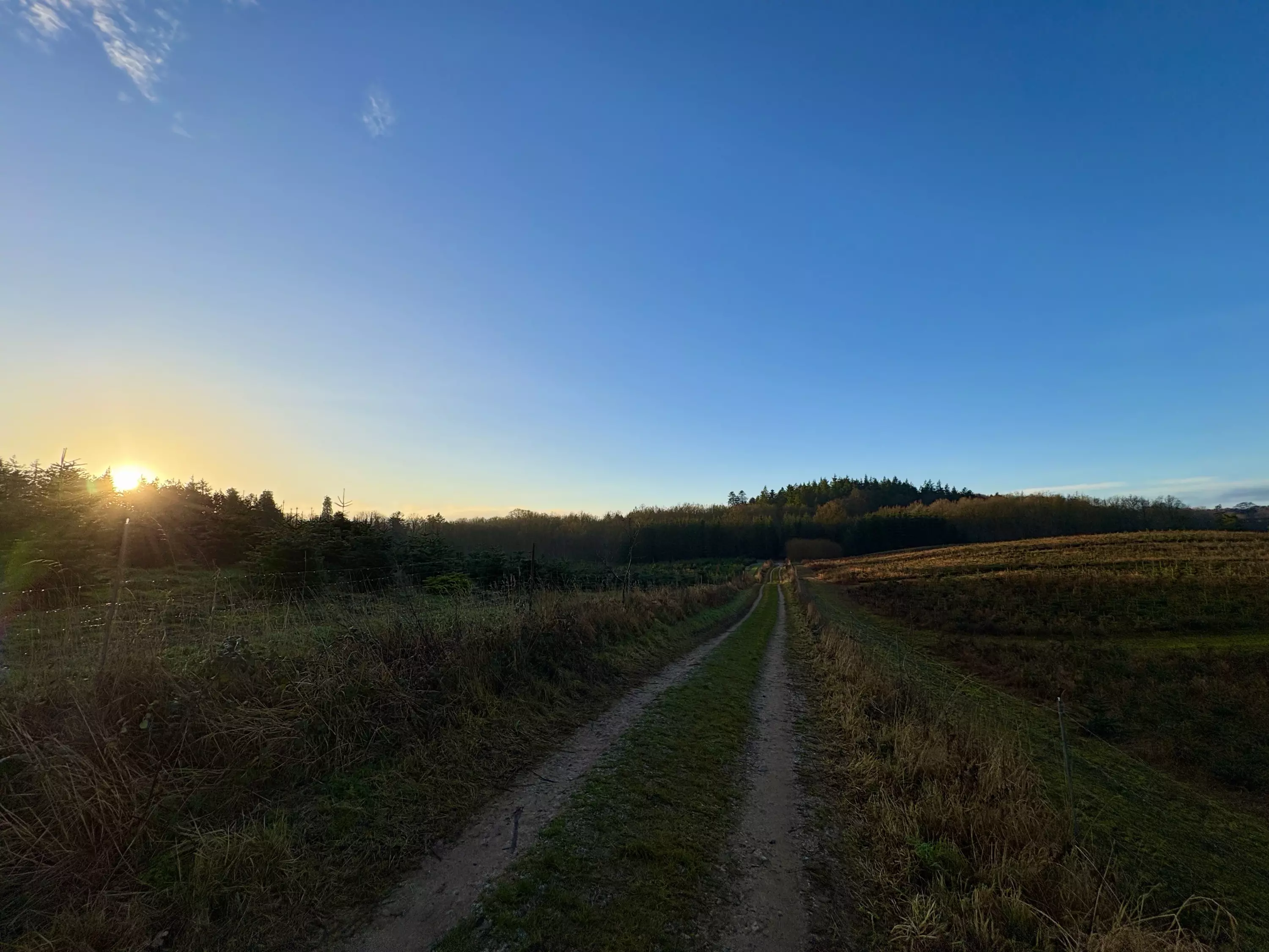 Udsigt fra Odense Vest