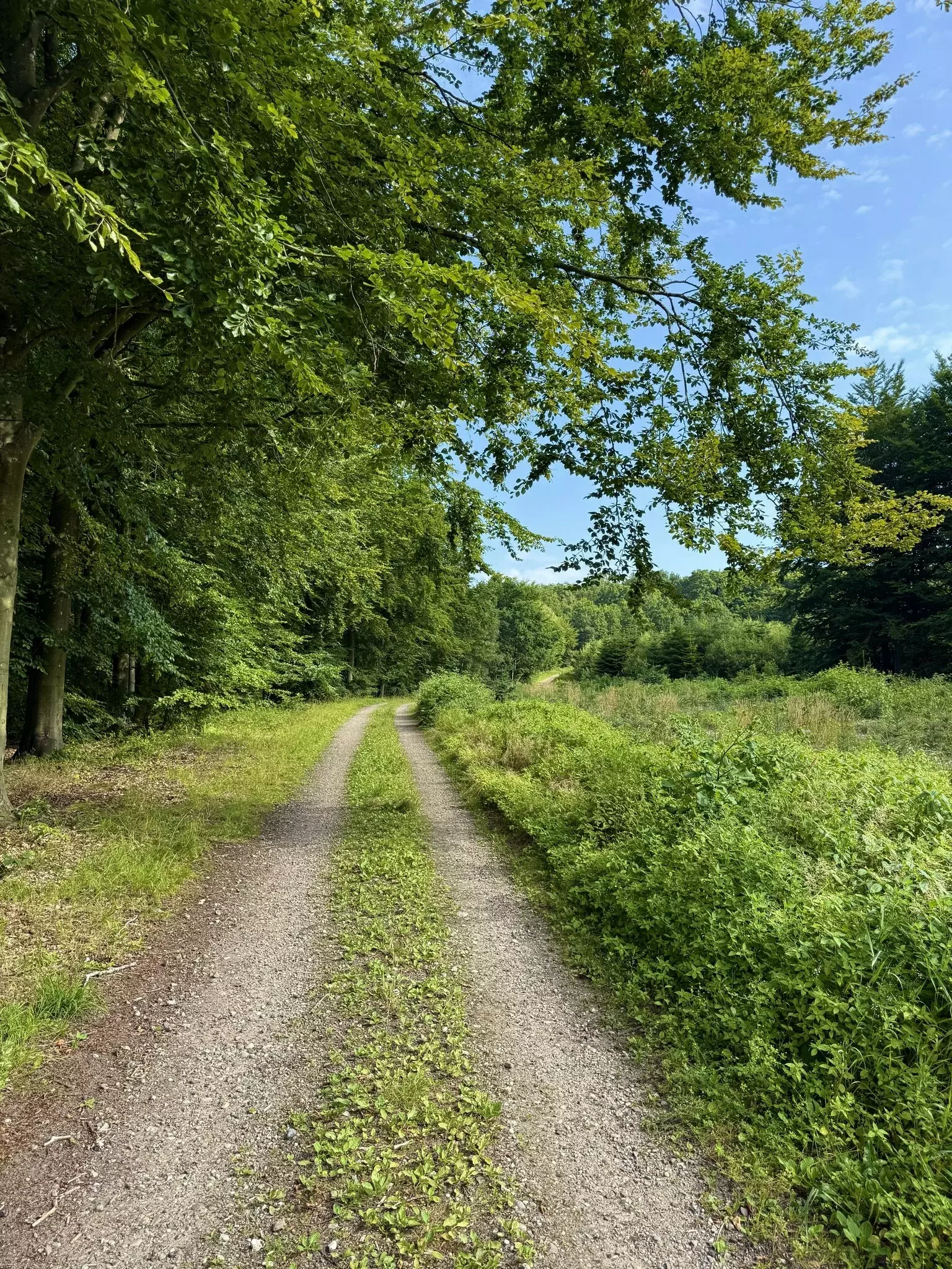 Udsigt fra Svendborg & Nyborg